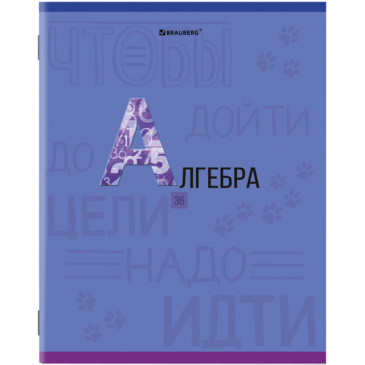 Тетради предметные Brauberg К Знаниям со справочным материалом в клетку/линейку 10 шт 36 л - фото 3