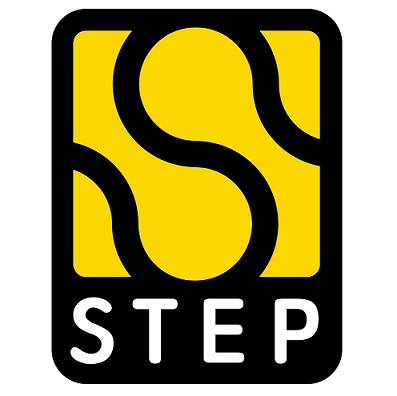 Step Puzzle