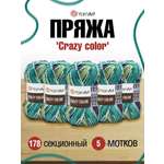 Пряжа YarnArt Crazy color мягкая с небольшим ворсом 100 г 260 м 178 секционный 5 мотков