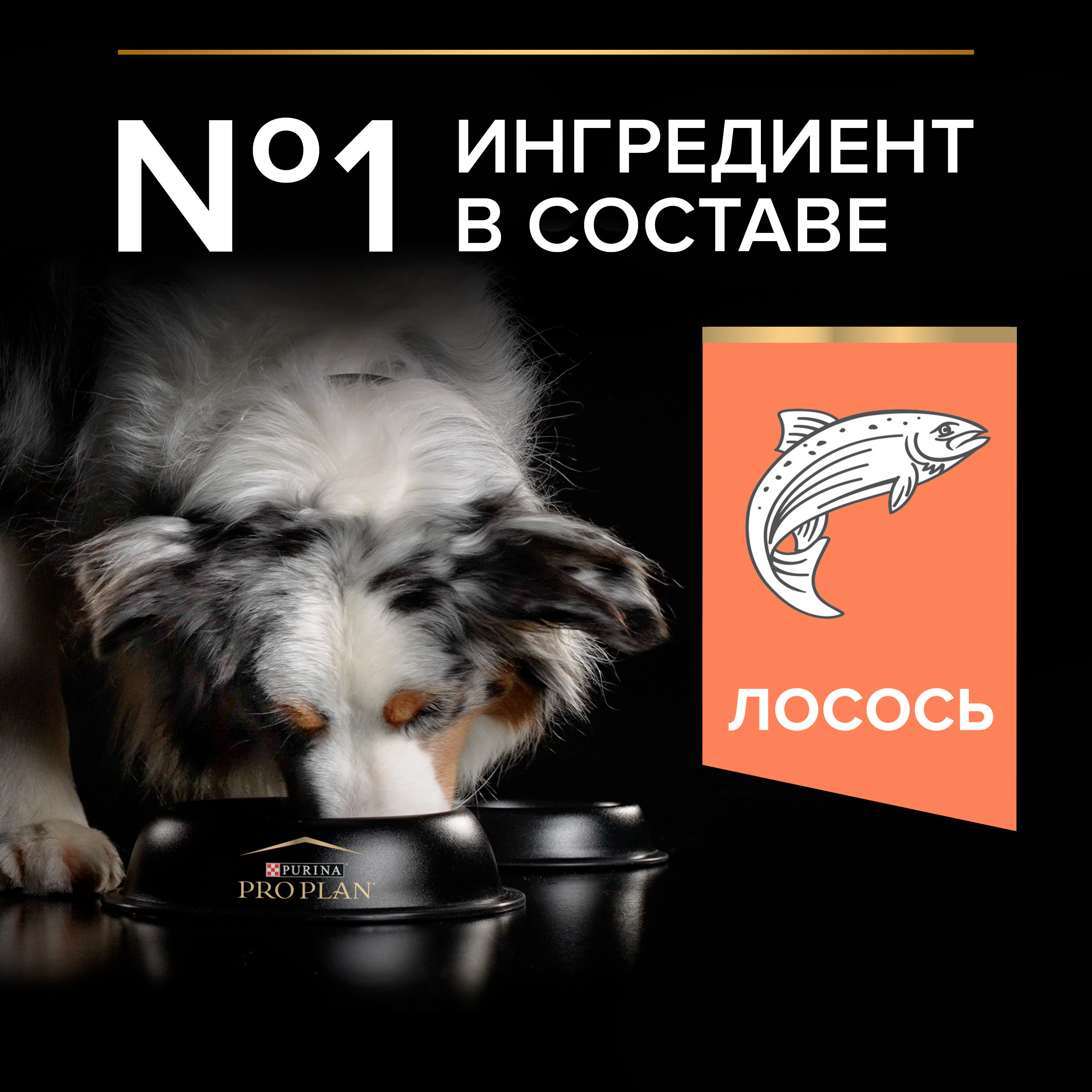 Корм для собак PRO PLAN средних пород с чувствительной кожей с комплексом Optiderma лосось c рисом 14кг - фото 5