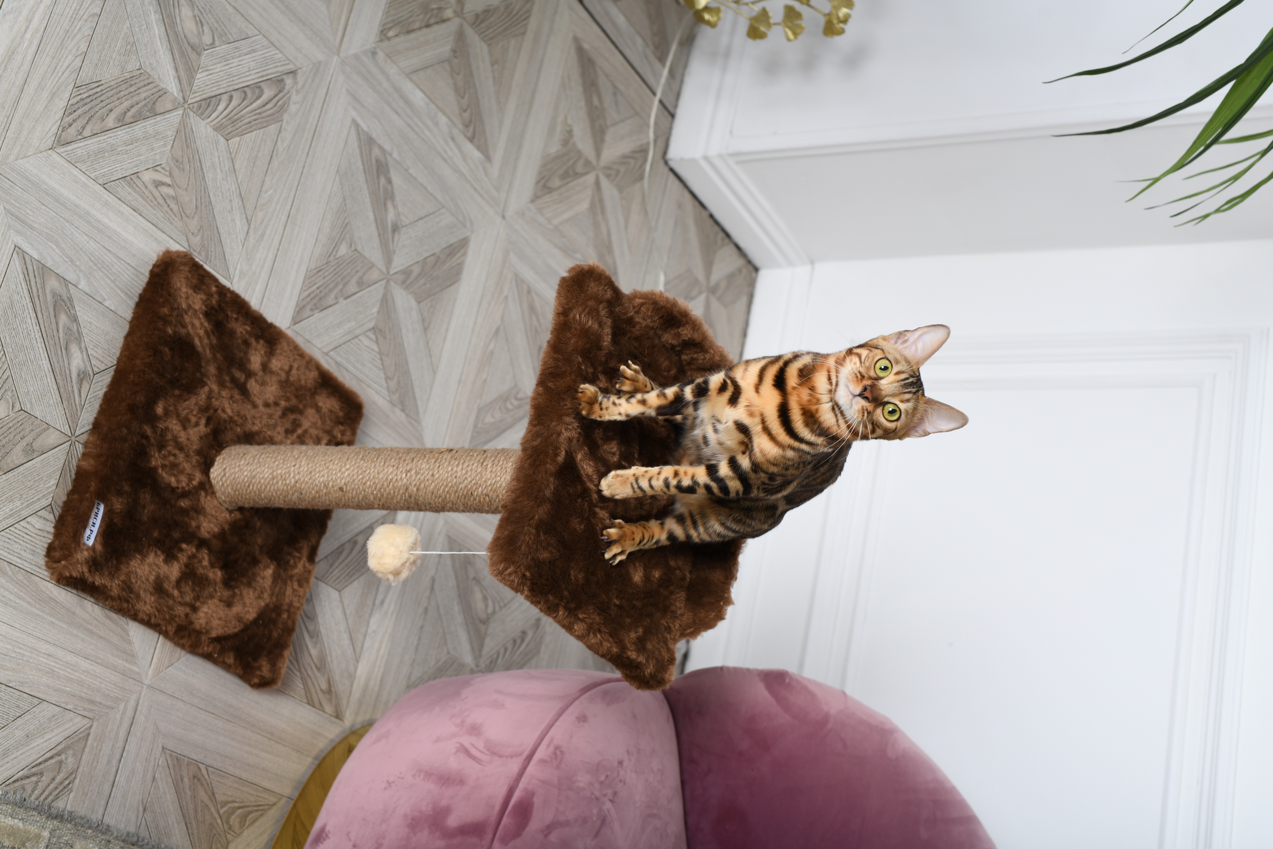 Когтеточка для кошек лежанка БРИСИ Коричневый - фото 1