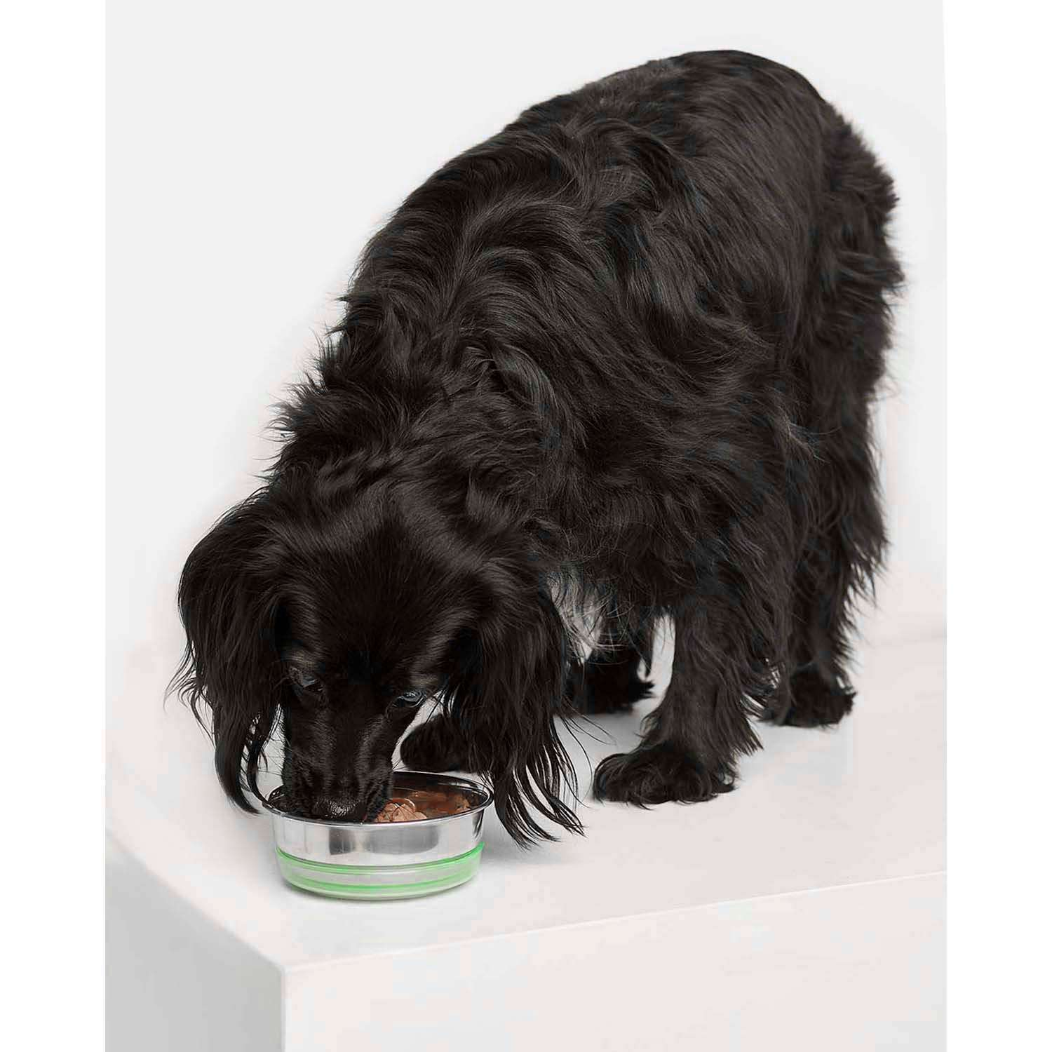 Корм для собак Carnica 85г с индейкой для поддержания веса кусочки в соусе консервированный - фото 2
