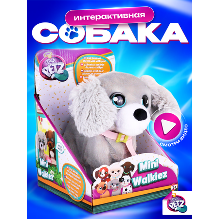 Игрушка IMC TOYS Club Petz Шагающая собачка Пудель