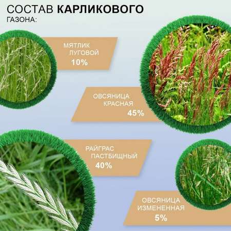 Семена трав Мираторг для создания газона Карликовый 1 кг