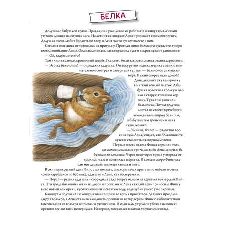 Книга ПИТЕР Пушистые малыши Как растут животные и птицы