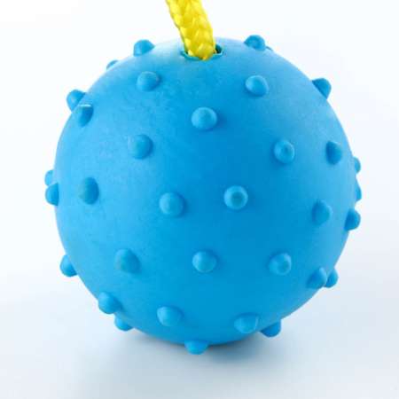 Игрушка Пижон мяч на веревке 6 см синяя