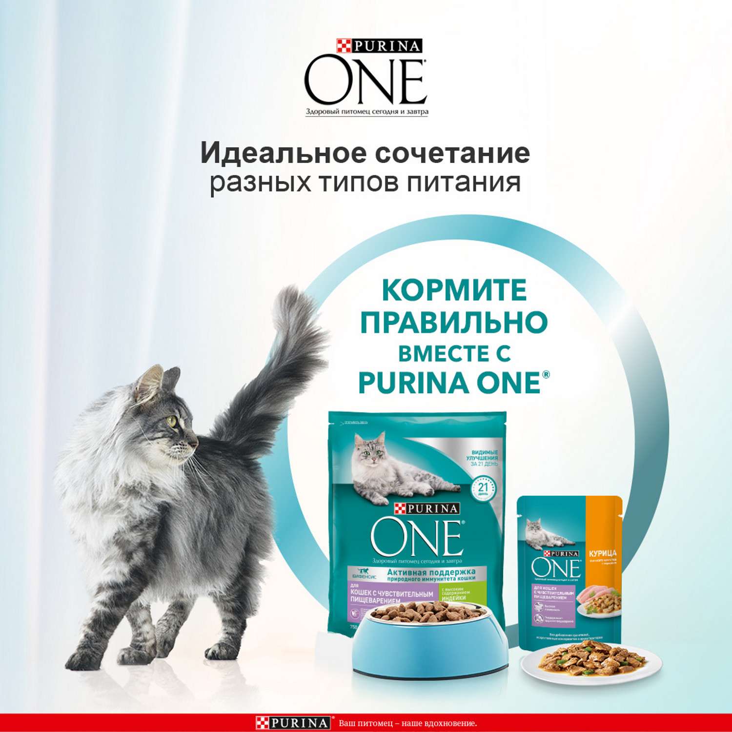 Корм для кошек Purina One при чувствительном пищеварении индейка-рис 750г - фото 5