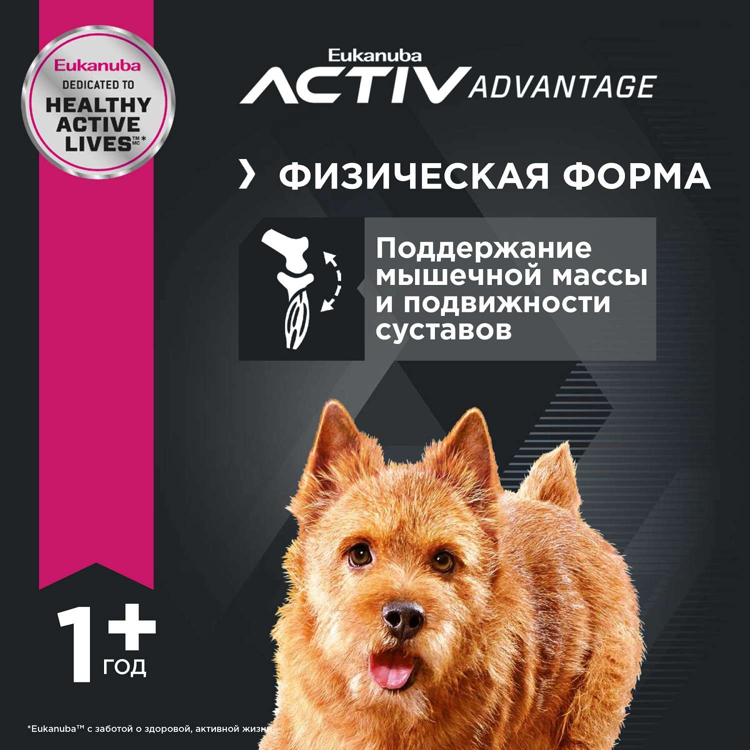 Корм Eukanuba Dog 15кг для взрослых собак мелких пород сухой - фото 5