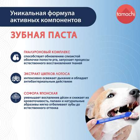 Зубная паста для кошек и собак Tamachi 100мл
