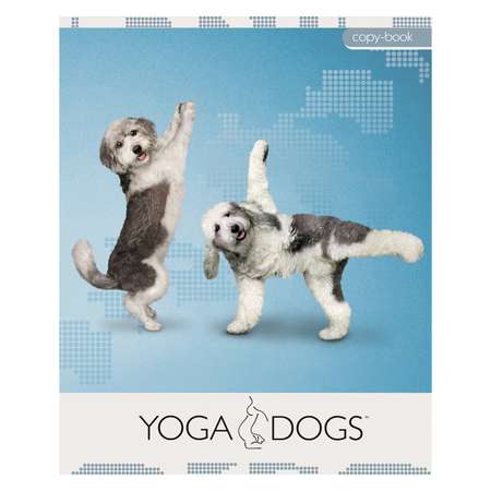 Тетрадь Академия Холдинг 96л клетка Yoga Dogs