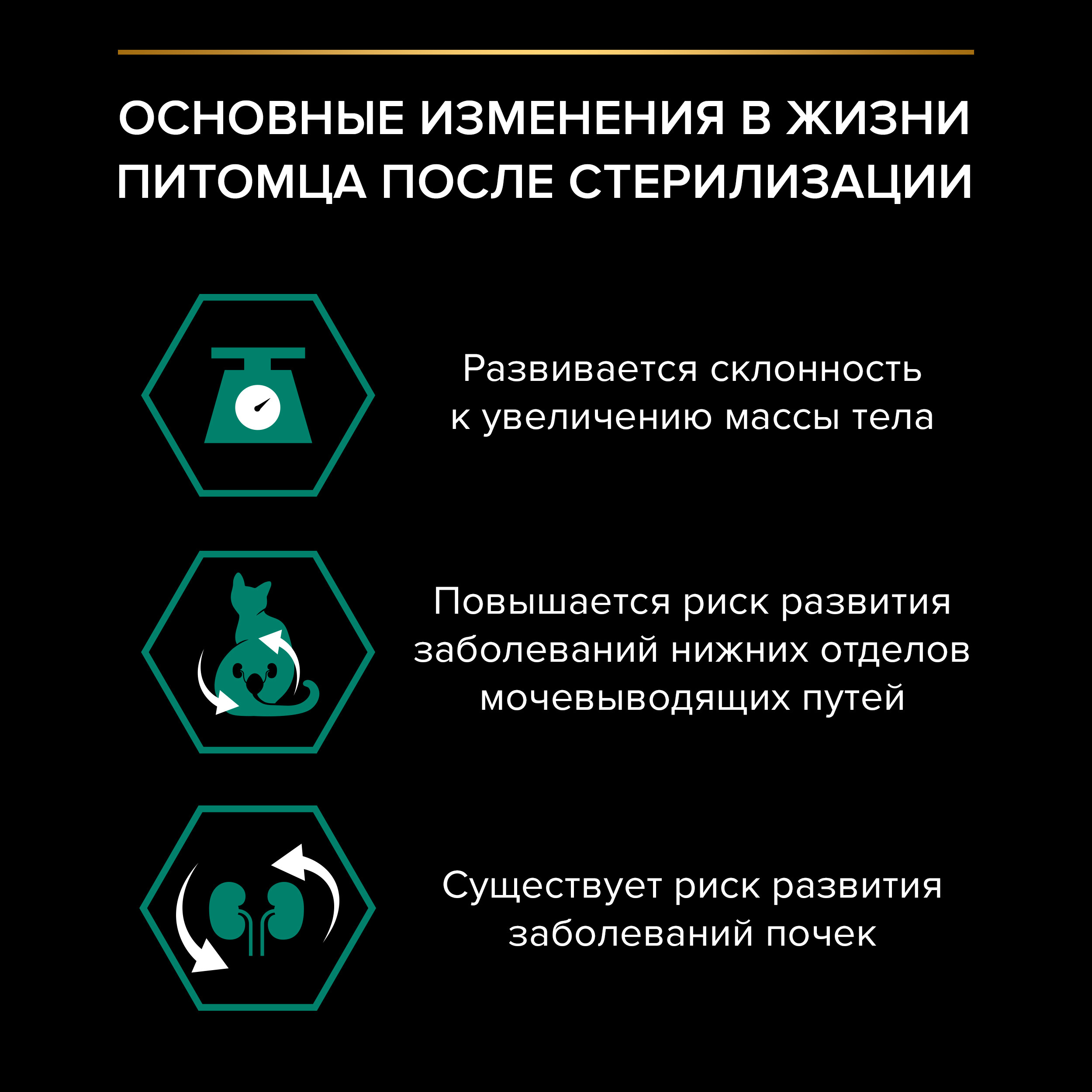 Корм влажный для кошек PRO PLAN Nutri Savour 85г с индейкой в желе при стерилизации и кастрации пауч - фото 4