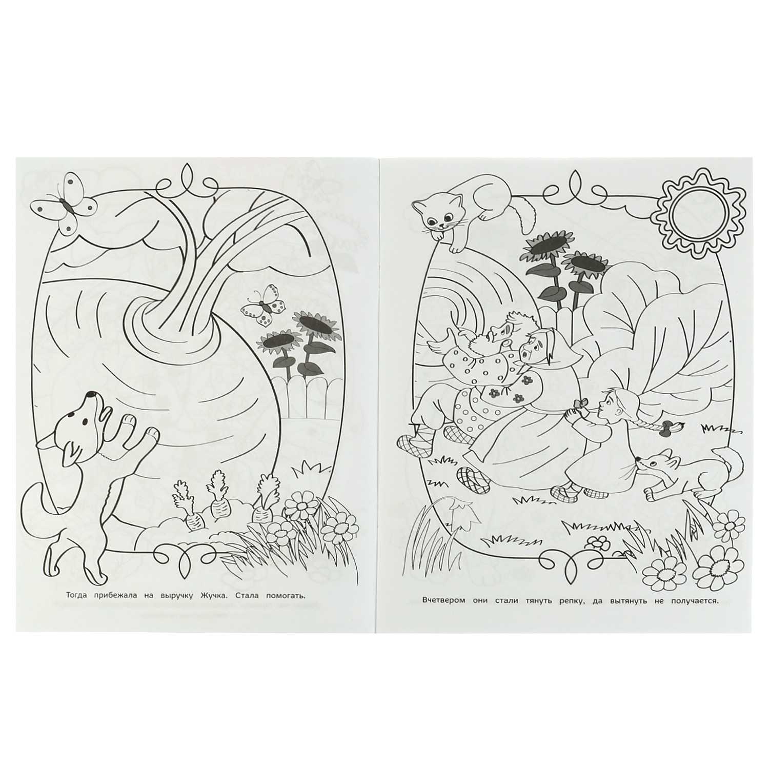 Книга Умка Сказка-раскраска Репка Курочка Ряба 332063 - фото 4