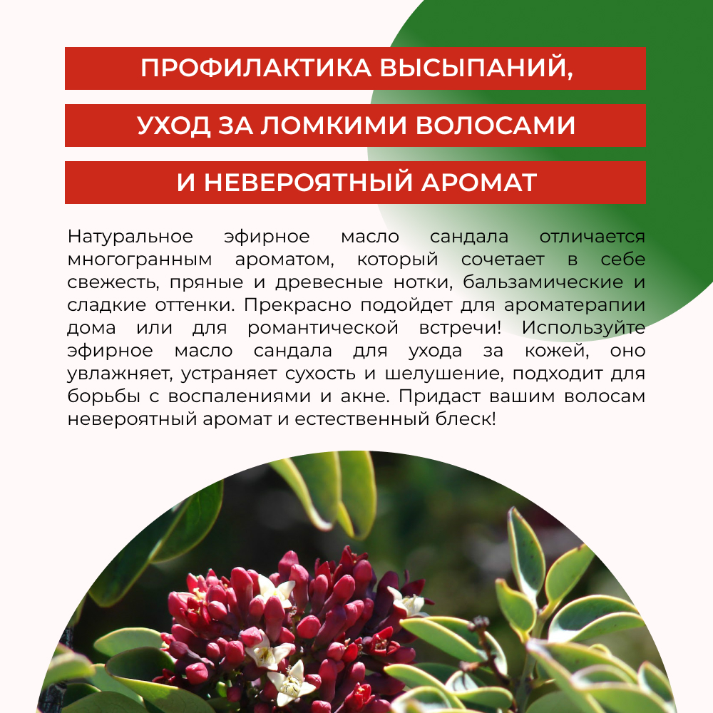 Эфирное масло Siberina натуральное «Сандала» для тела и ароматерапии 8 мл - фото 5