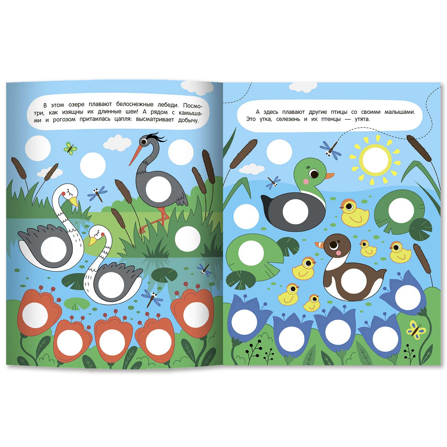 Набор из 5 книг Феникс Премьер Яркие кружочки 1+. с наклейками для малышей - фото 10
