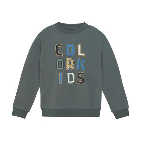 Свитшот Color Kids