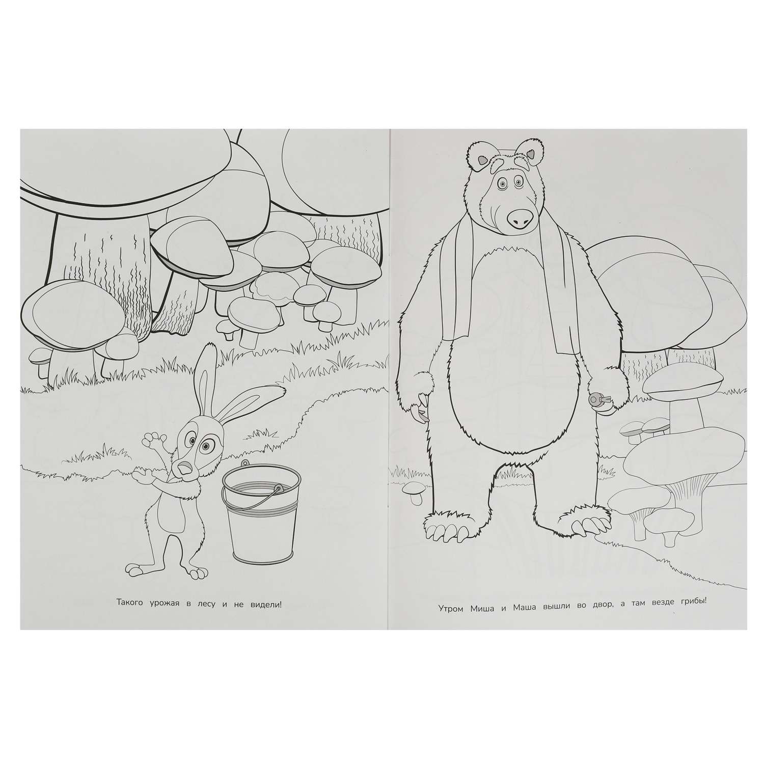 Раскраски из мультсериала Маша и Медведь.