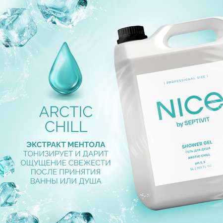 Гель для душа NICE by Septivit Arctic chill 5л