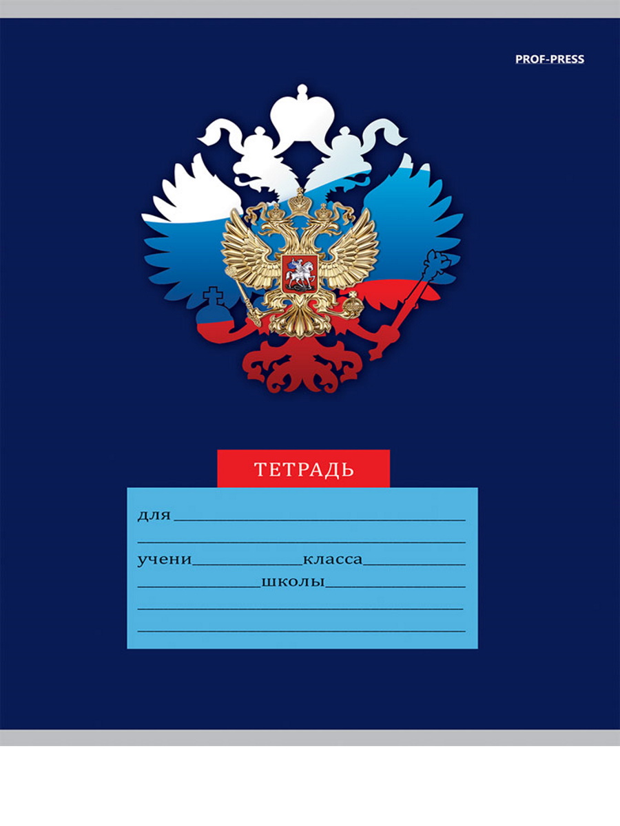 Тетрадь 12л классика Prof-Press Частая косая линия микс-5788 комплект 10 штук - фото 6