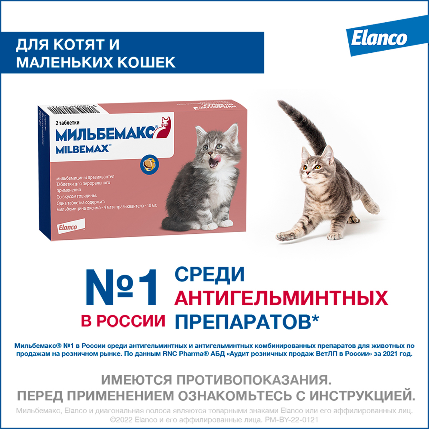 Запор у собаки — что делать, лечение в домашних условиях для щенят и взрослых собак