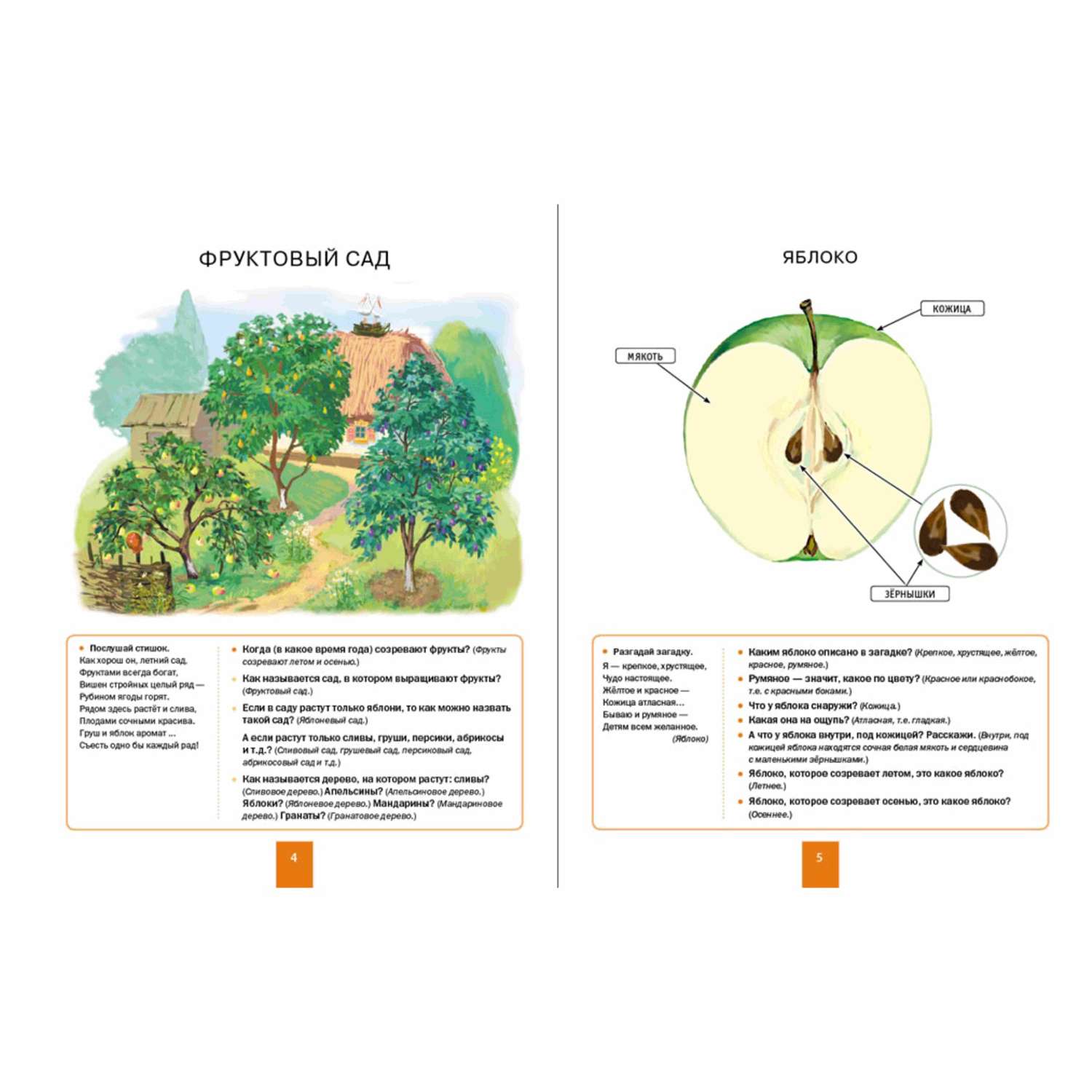 Книга Школьная Книга Мир растений и грибов Развитие речи через познание окружающего мира - фото 2