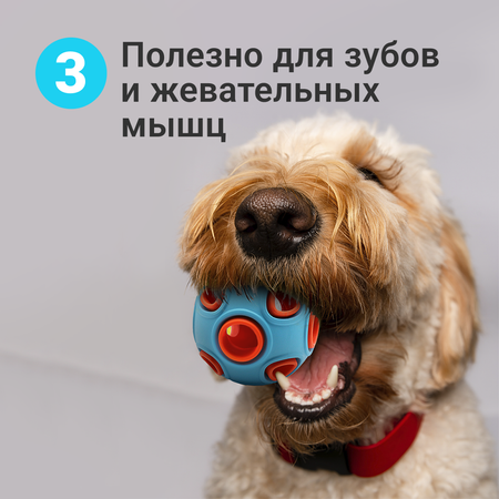 Игрушка мяч для собак ZDK ZooWell Play дозирующий корм