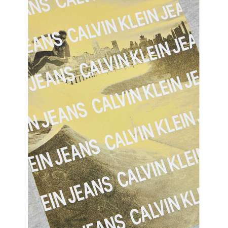 Футболка Calvin Klein Jeans