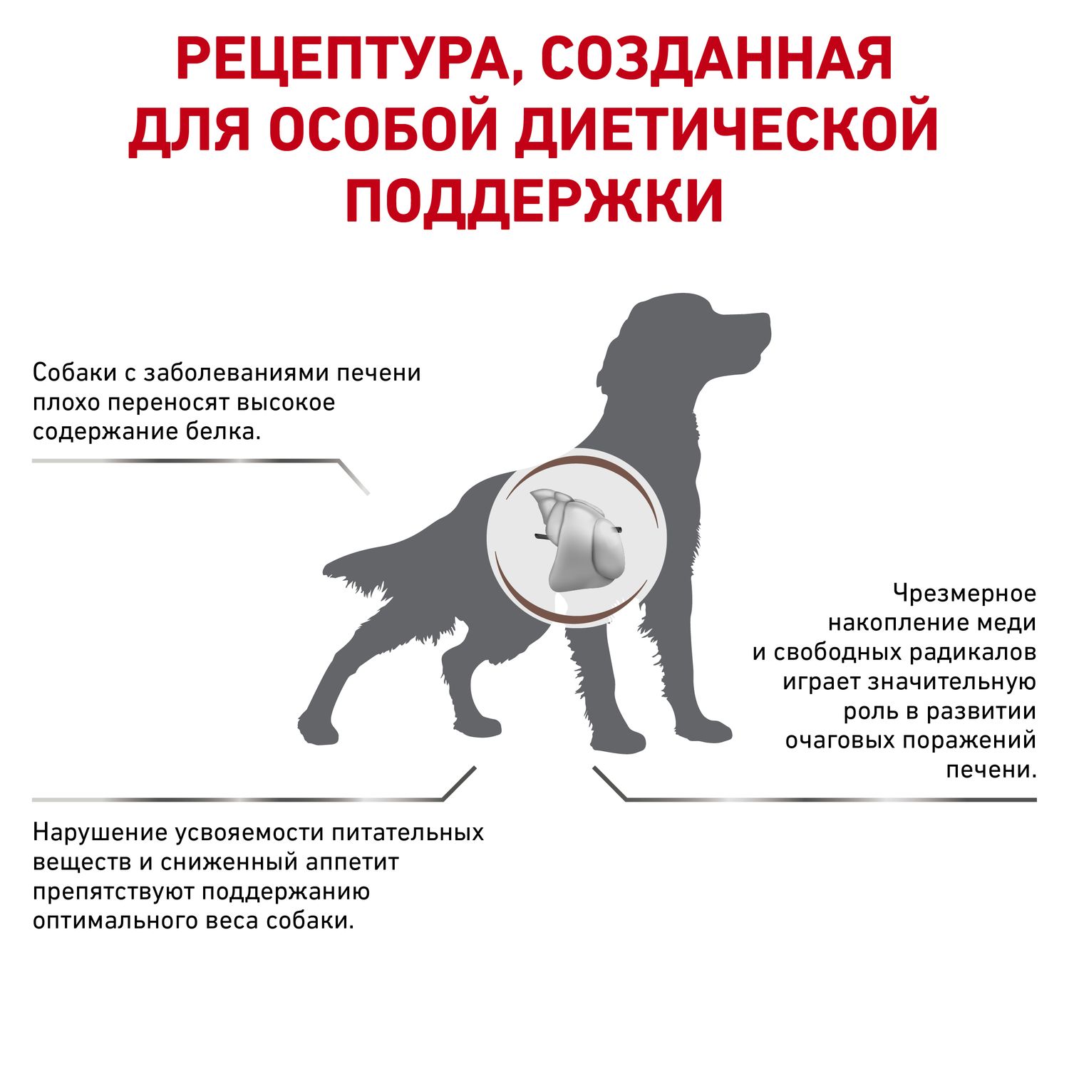 Корм для собак ROYAL CANIN Hepatic HF16 при заболеваниях печени 12кг - фото 3