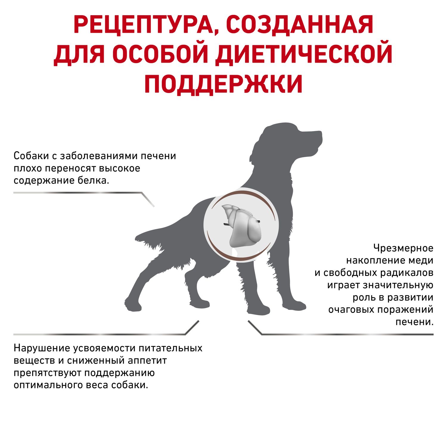 Сухой корм для собак ROYAL CANIN Hepatic 12 кг (при заболеваниях печени, лечебный) - фото 3