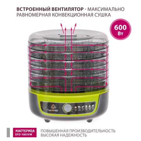 Сушилка-йогуртница Мастерица EFD-1003VM