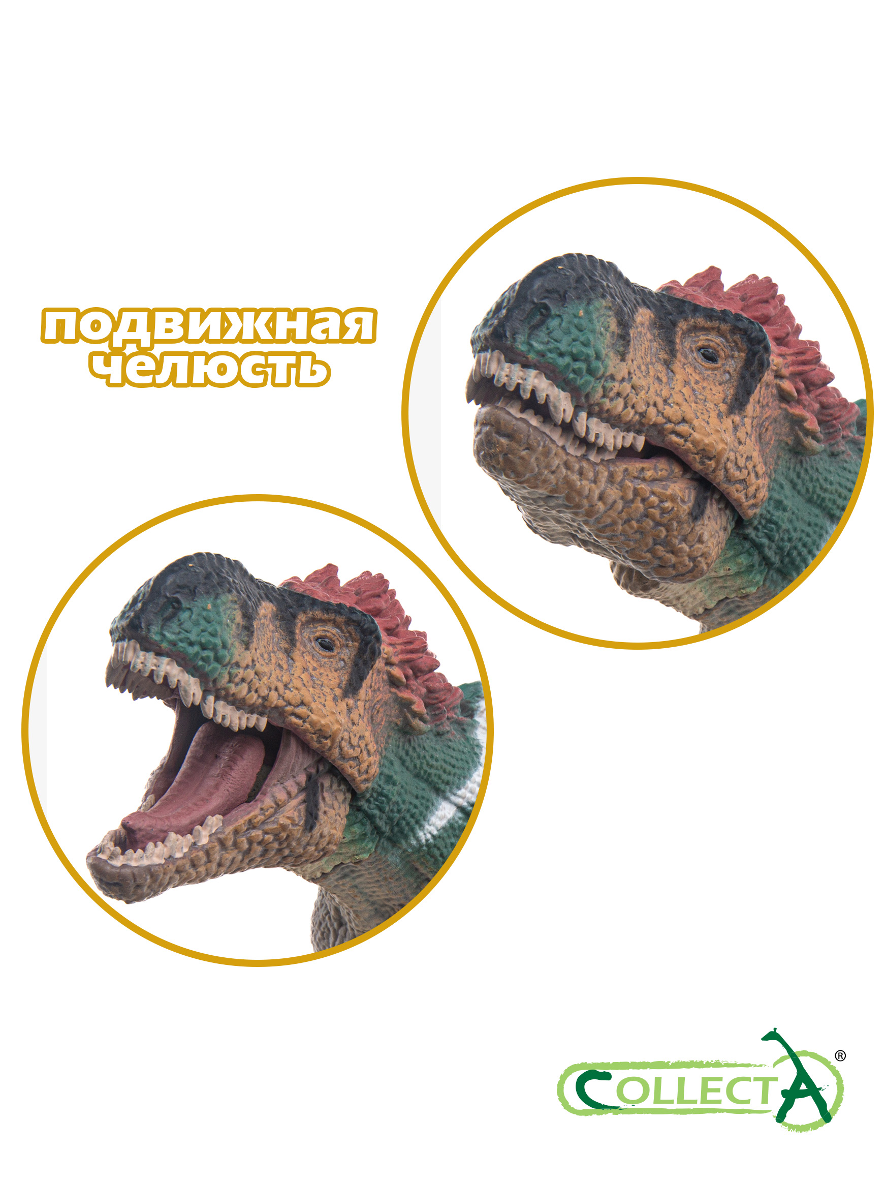 Игрушка Collecta Пернатый Тираннозавр Рекс с подвижной челюстью 1:40 фигурка динозавра - фото 3