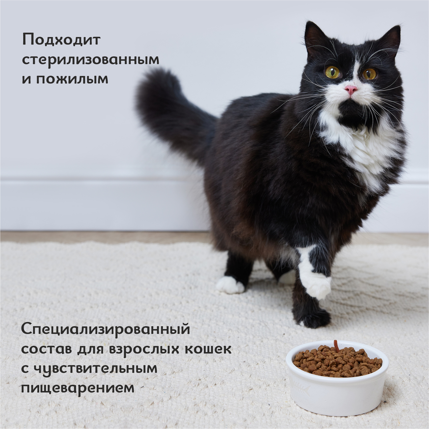 Корм для кошек Roybis 1.5кг с лососем и форелью с чувствительным пищеварением - фото 8