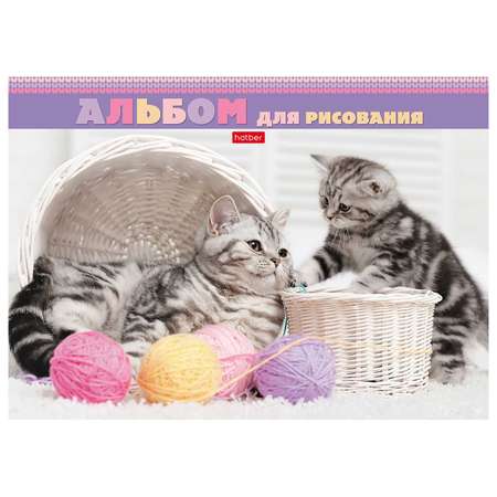 Альбом для рисования Hatber Котята и клубочки А4 24л в ассортименте 062531