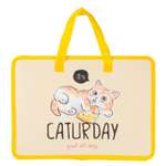 Папка с ручками Erhaft Caturday А4