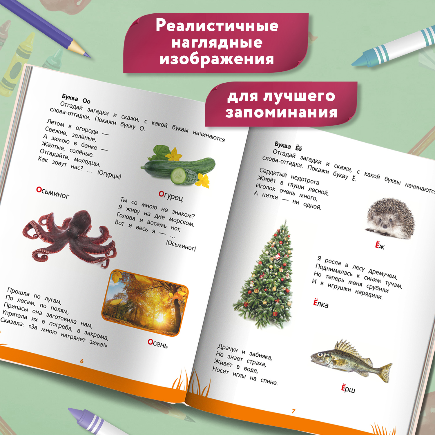 Книга Феникс Первая книга знаний Энциклопедия дошкольника 4-5 лет - фото 5