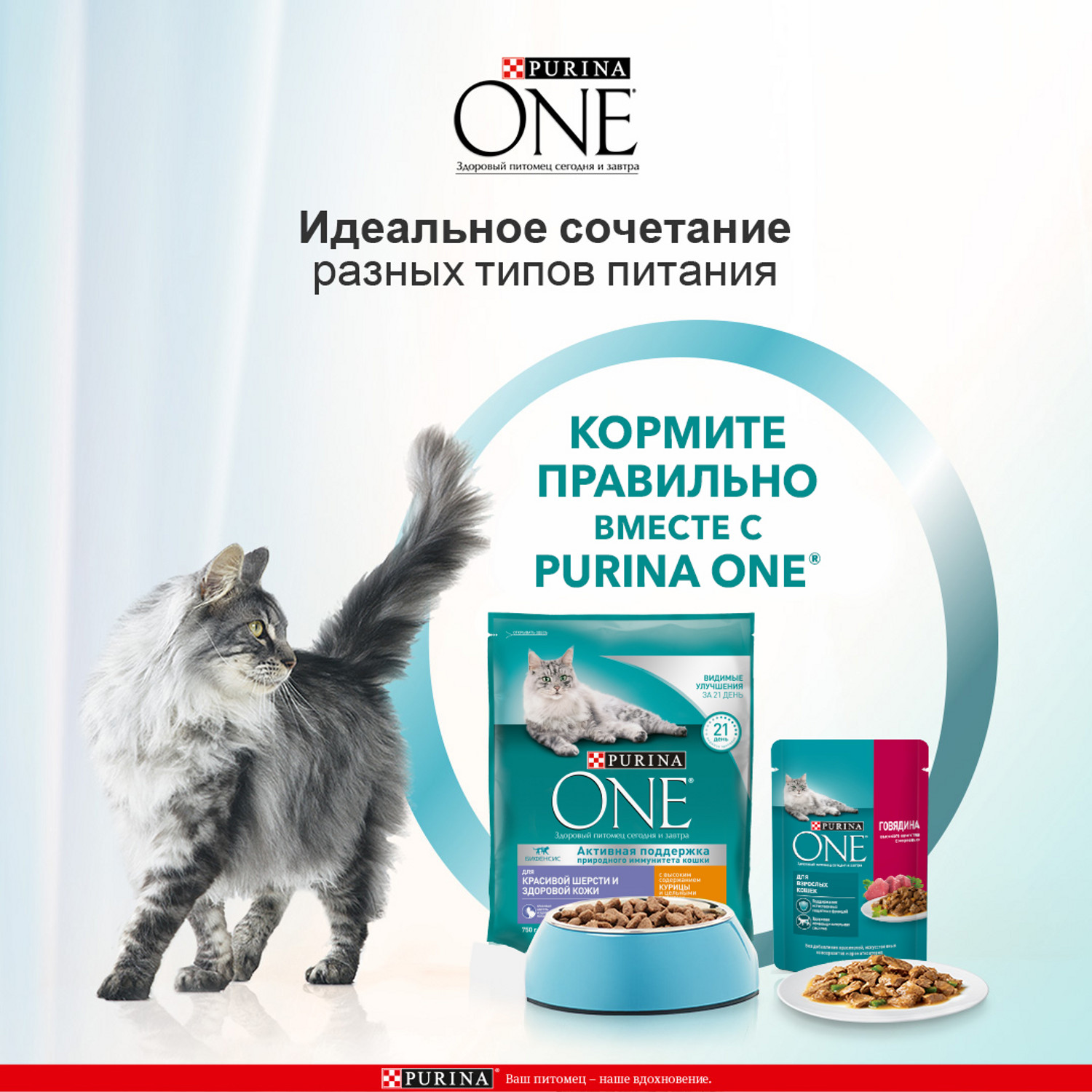 Корм для кошек Purina One для красивой шерсти здоровой кожи с высоким содержанием курицы и цельными злаками сухой 750г - фото 6