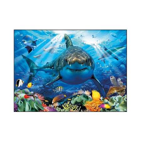 Алмазная мозаика Seichi Белая акула 30х40 см