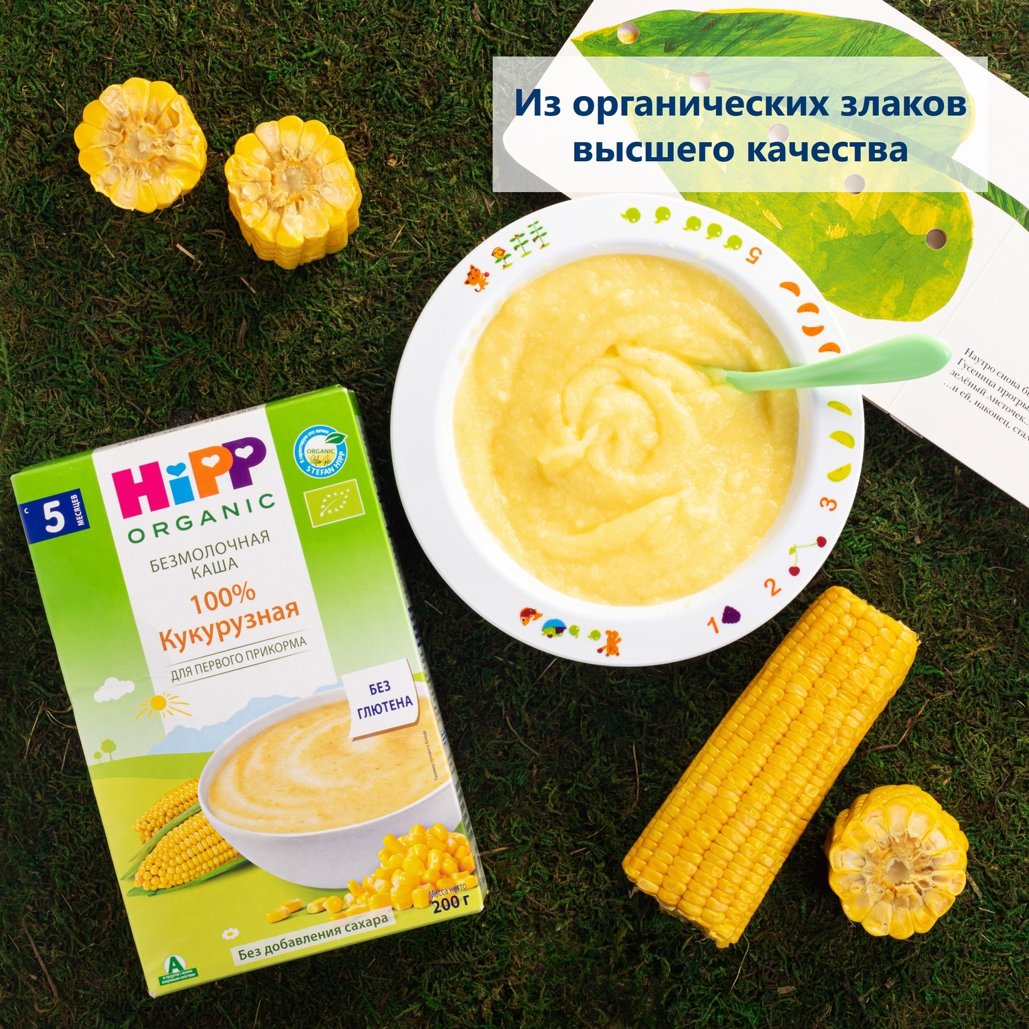 Каша Hipp безмолочная кукуруза 200г с 5месяцев купить по цене 374 ₽ в  интернет-магазине Детский мир