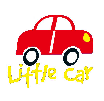 Little car