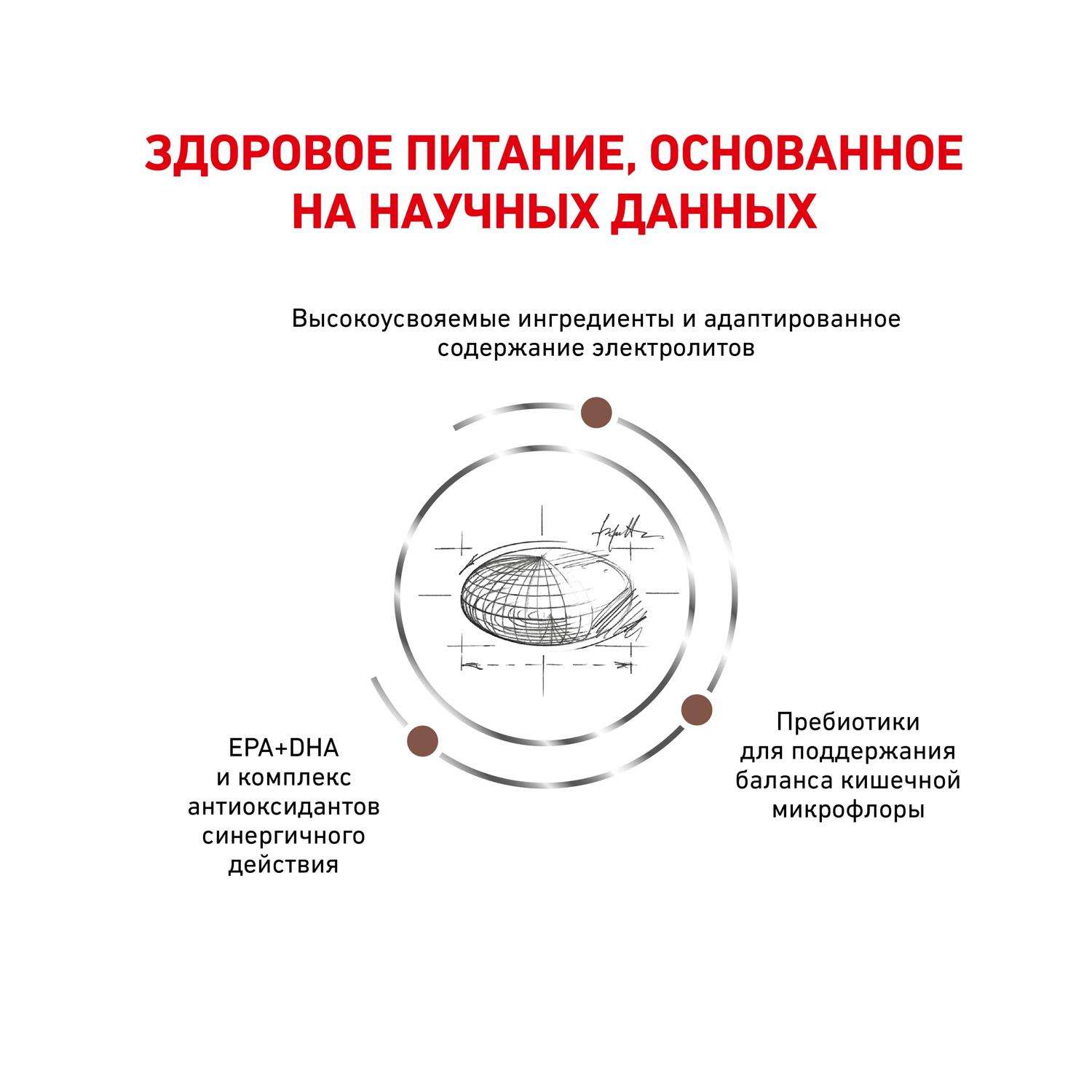 Royal canin gi moderate sales calorie