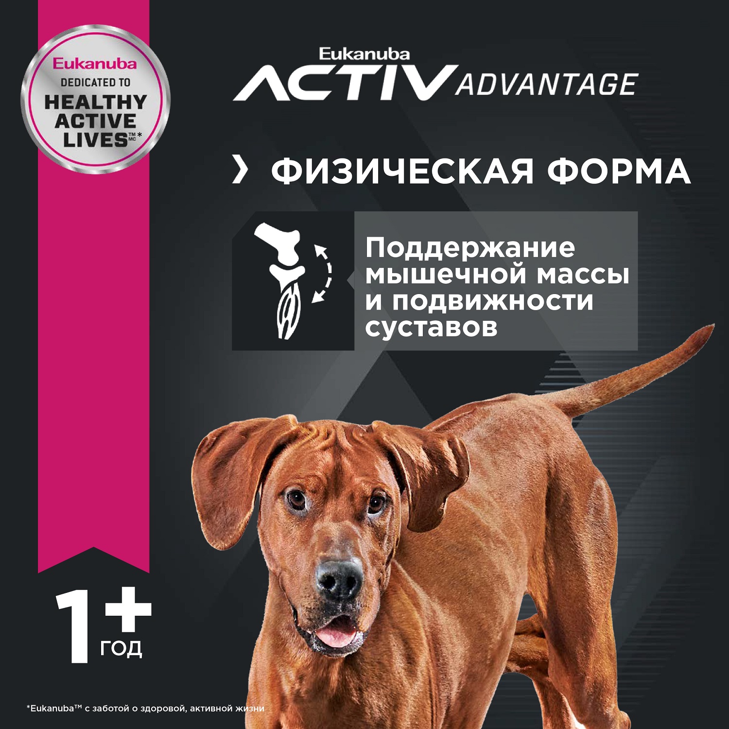 Корм для собак Eukanuba 12кг Dog с ягненком для взрослых крупных пород - фото 3