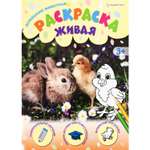 Раскраска А4 Bright Kids ДОМАШНИЕ ЖИВОТНЫЕ 8 листов 198х260