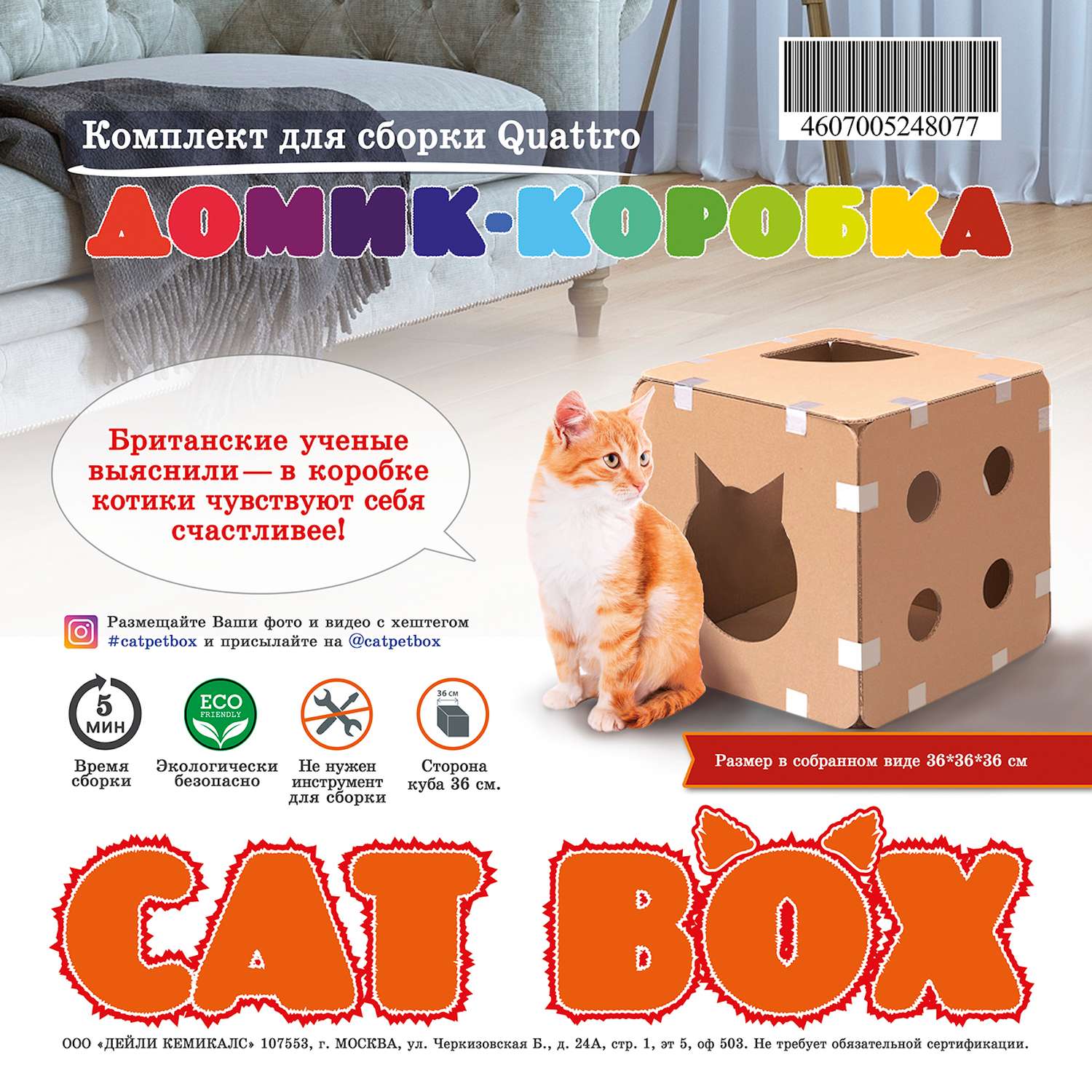Домик для кошек ECOPET Quattro сборный - фото 2