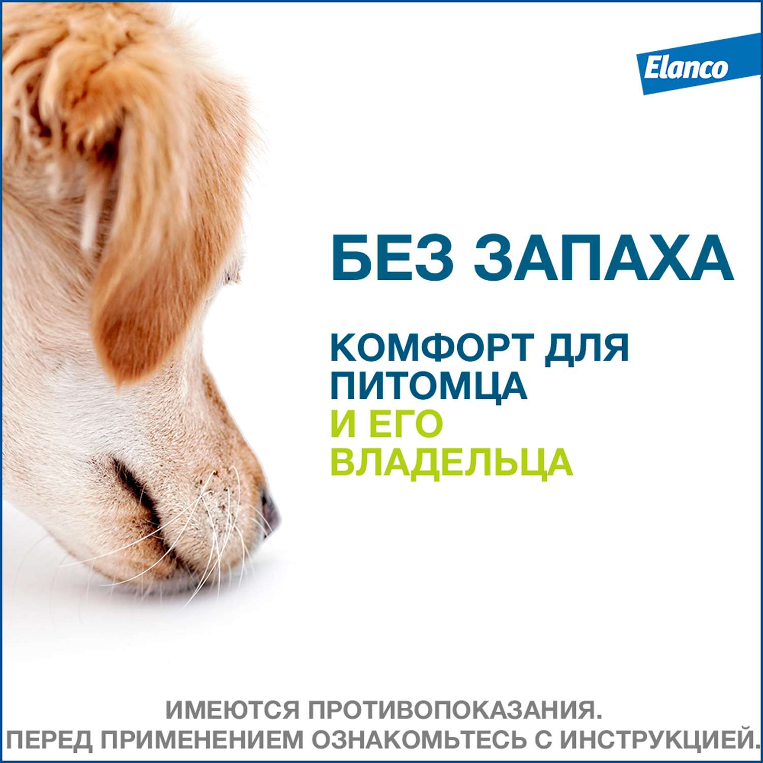 Ошейник для собак Elanco Foresto менее 8кг от блох и клещей защита 8месяцев 38см 65231 - фото 8