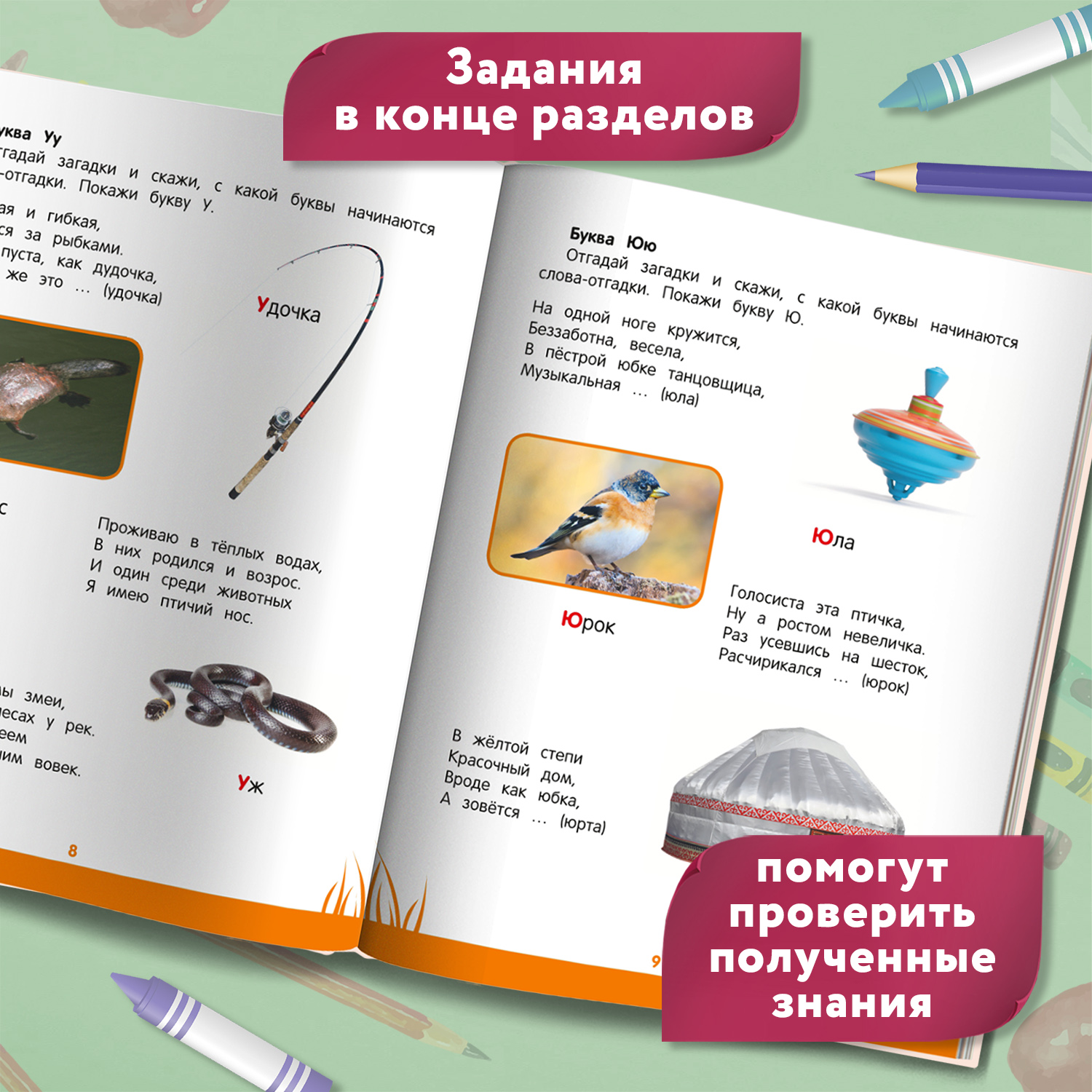 Книга Феникс Первая книга знаний Энциклопедия дошкольника 4-5 лет - фото 6