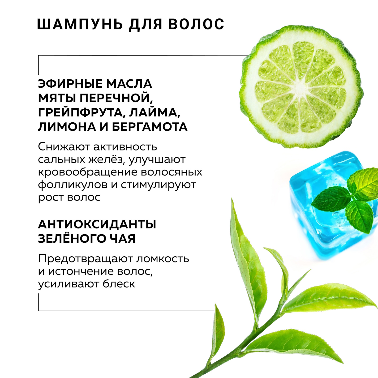 Косметический набор для жирных волос GREENNOVA освежающий Mint Tea 450+250 мл - фото 5