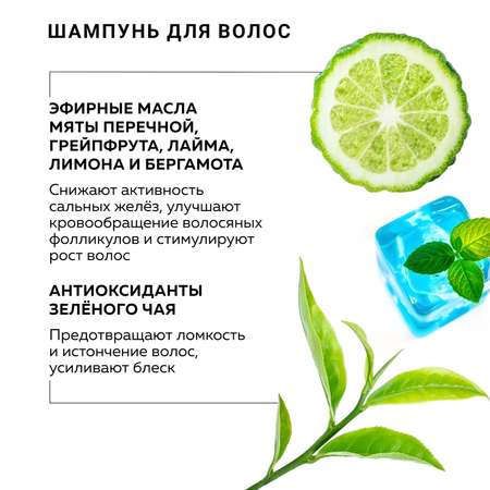 Косметический набор для жирных волос GREENNOVA освежающий Mint Tea 450+250 мл