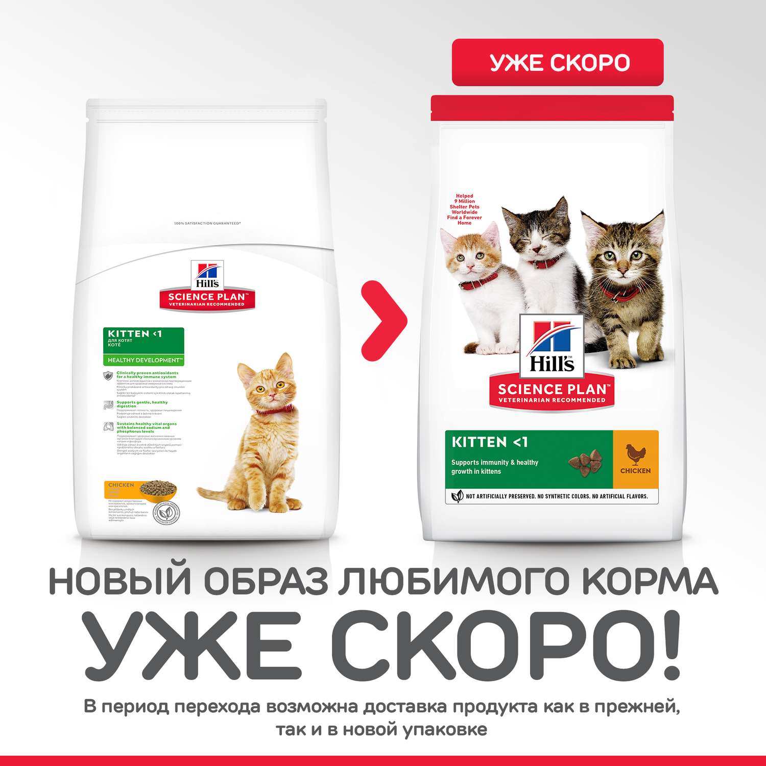 Корм сухой для котят HILLS 2кг Science Plan Healthy Development с курицей для гармоничного развития - фото 2