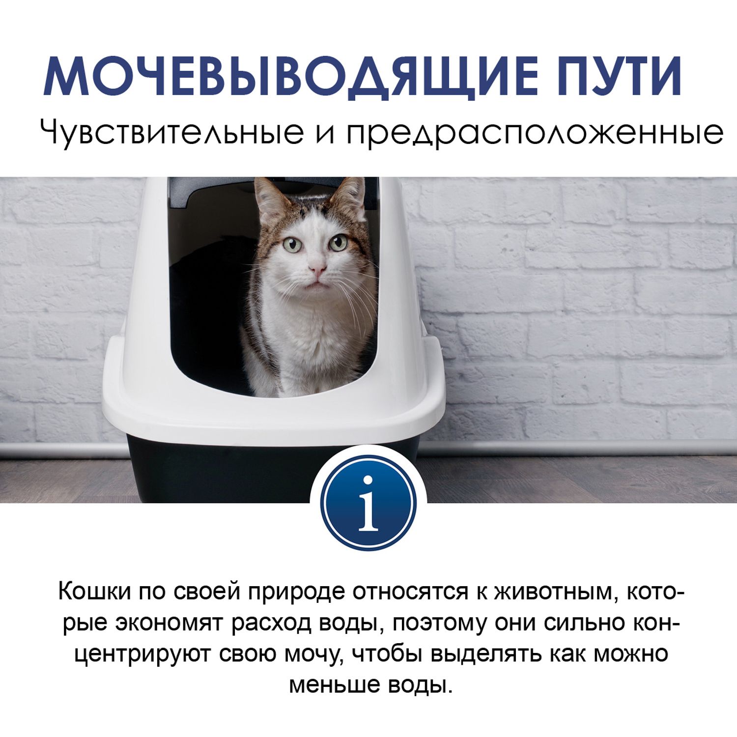 Паста для кошек Gimcat Expert line Уринари 50г - фото 8