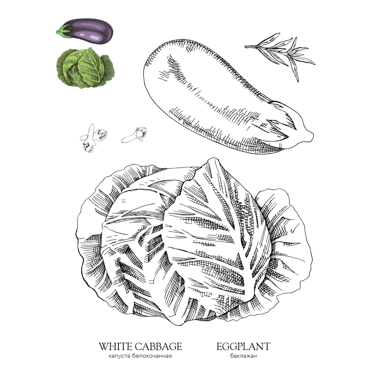 Раскраска Жёлудь Vegetables. овощи - фото 11