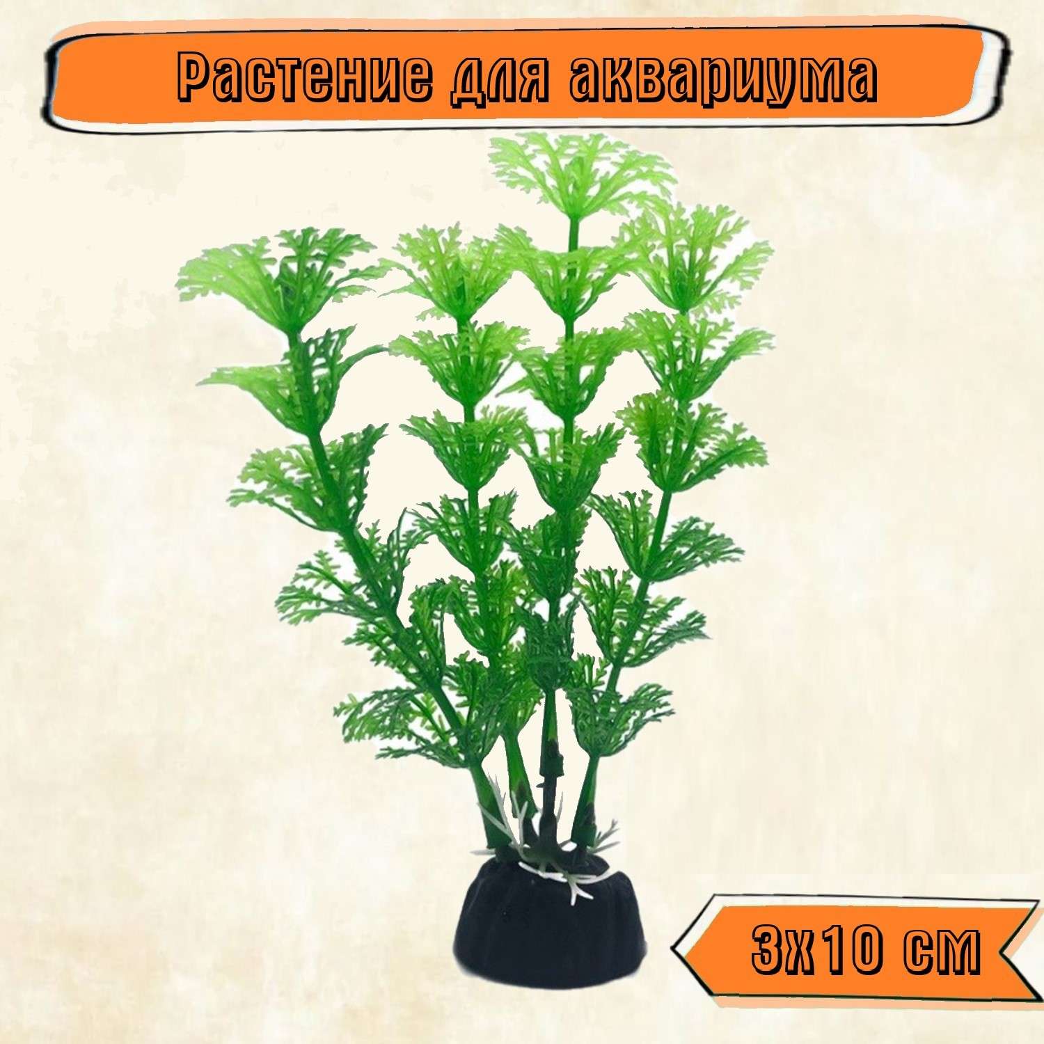Аквариумное растение Rabizy водоросли 3х10 см - фото 1